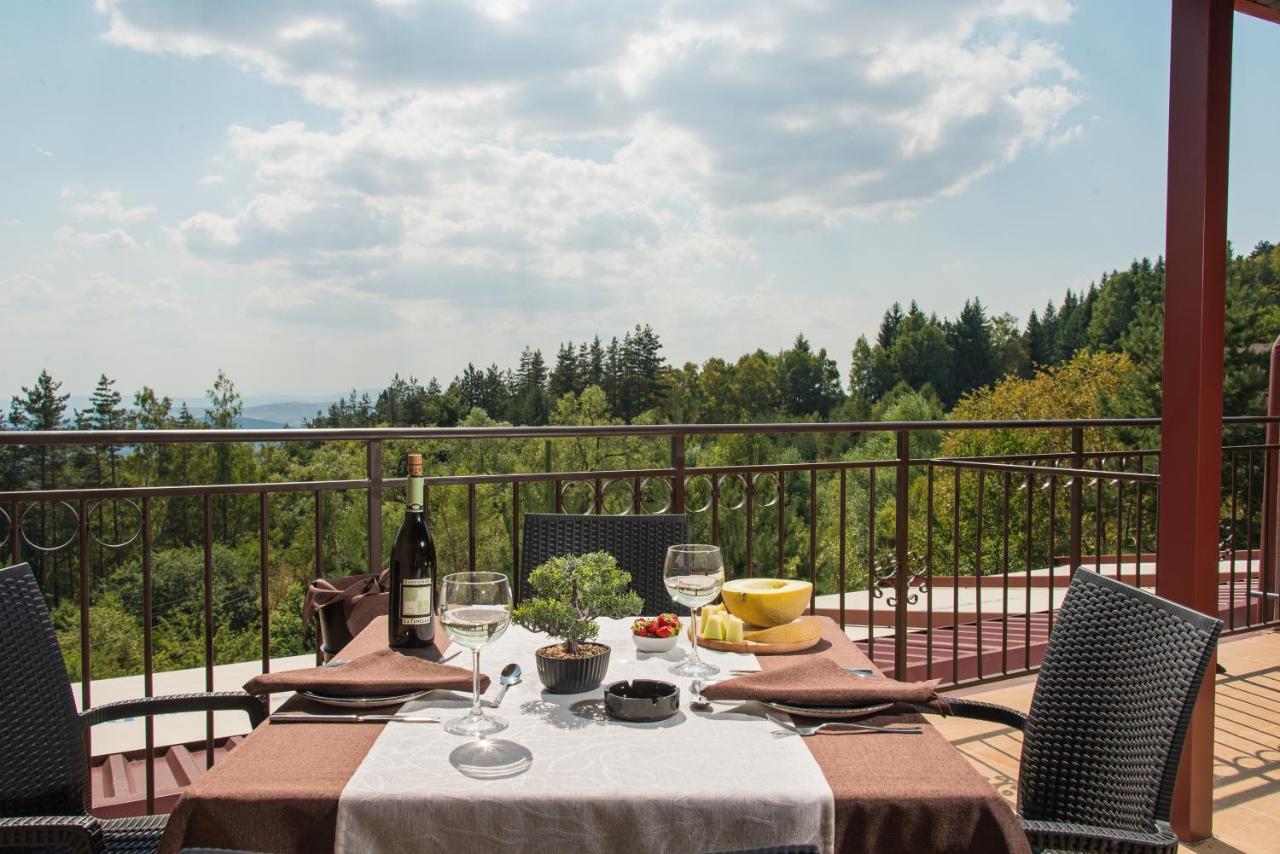 Hotel Villa Magus Kladnitsa Buitenkant foto